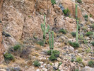 photo thumbnail #6