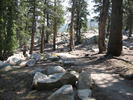 photo thumbnail #2