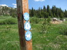 photo thumbnail #10