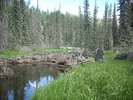 photo thumbnail #15
