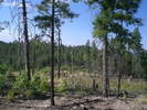 photo thumbnail #15