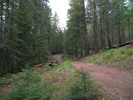 photo thumbnail #4