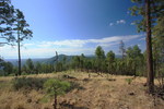 photo thumbnail #12