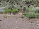 photo thumbnail #12