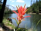 photo thumbnail #3