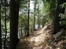 photo thumbnail #12