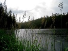 photo thumbnail #15