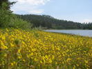 photo thumbnail #9