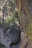 photo thumbnail #6