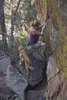 photo thumbnail #7