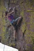 photo thumbnail #11