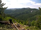 photo thumbnail #9