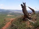 photo thumbnail #9