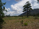 photo thumbnail #10