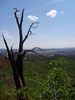 photo thumbnail #14