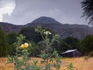 photo thumbnail #3