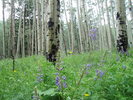 photo thumbnail #2