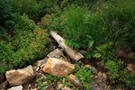 photo thumbnail #8