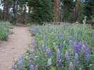 photo thumbnail #10