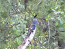 photo thumbnail #12