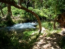 photo thumbnail #10