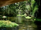 photo thumbnail #11