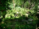 photo thumbnail #13