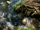 photo thumbnail #15