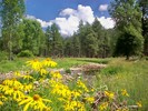 photo thumbnail #2