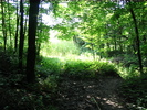 photo thumbnail #1