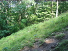 photo thumbnail #2