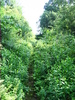 photo thumbnail #4