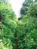 photo thumbnail #5