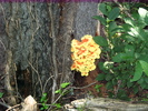 photo thumbnail #8