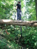photo thumbnail #5