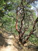 photo thumbnail #4