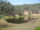 photo thumbnail #7