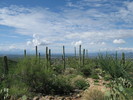 photo thumbnail #12