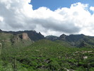 photo thumbnail #13