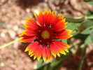 photo thumbnail #7