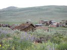 photo thumbnail #8