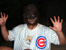 photo thumbnail #4