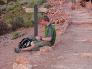 photo thumbnail #8