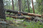 photo thumbnail #14