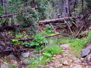 photo thumbnail #3