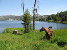 photo thumbnail #13