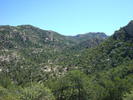 photo thumbnail #5