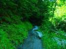 photo thumbnail #13