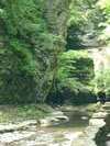 photo thumbnail #5