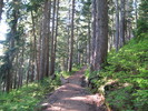photo thumbnail #7